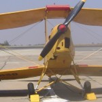 tiger-moth tiger-moth